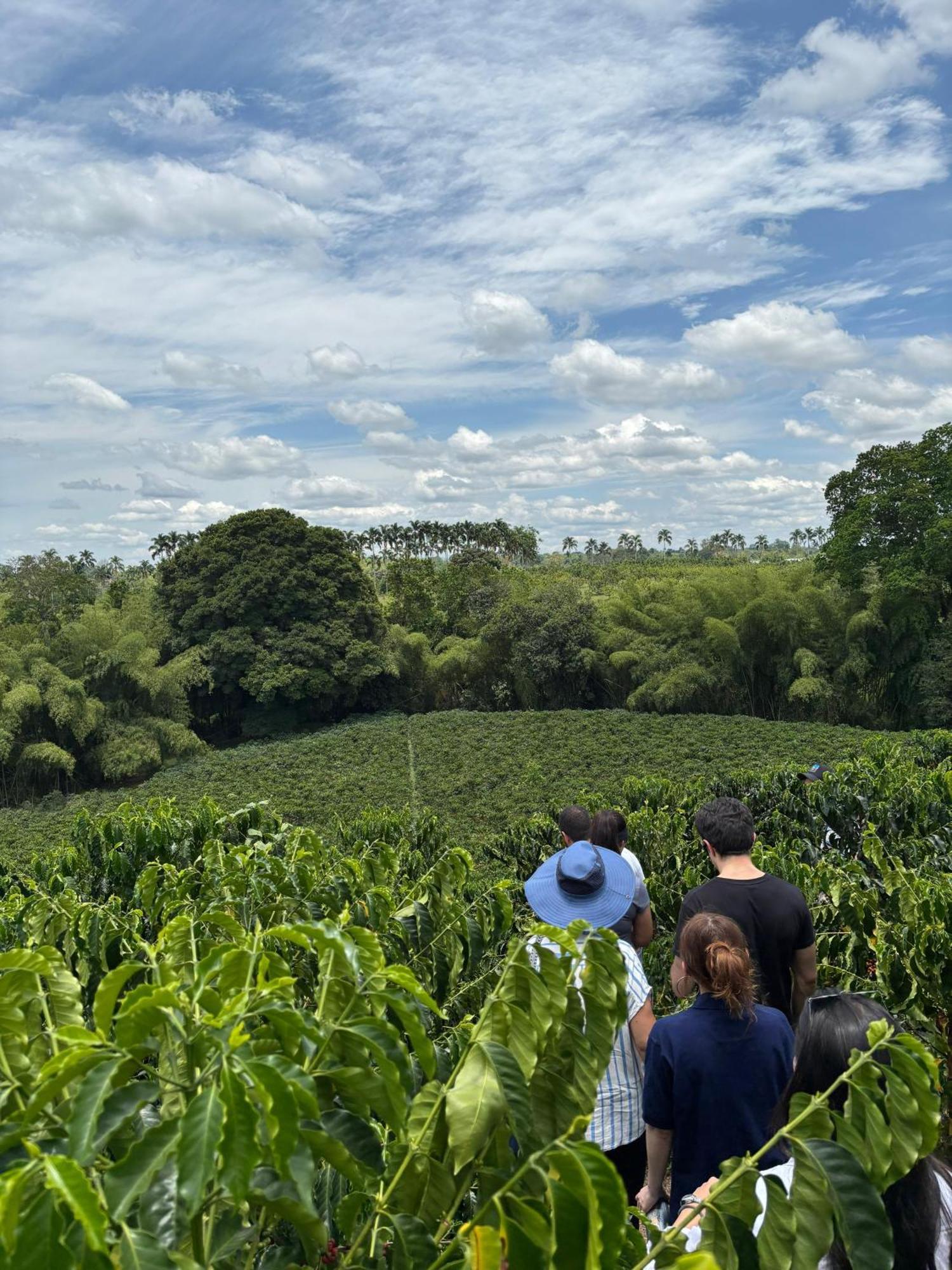 Hacienda Bambusa El Caimo Exteriér fotografie