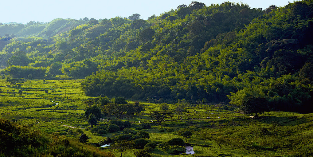 Hacienda Bambusa El Caimo Exteriér fotografie